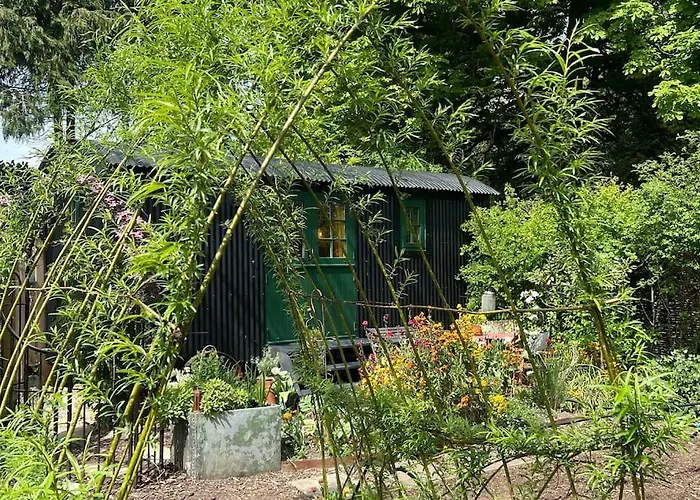 The Rumple Hut