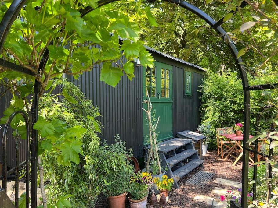 Luxury tent The Rumple Hut Wingfield (Wiltshire)