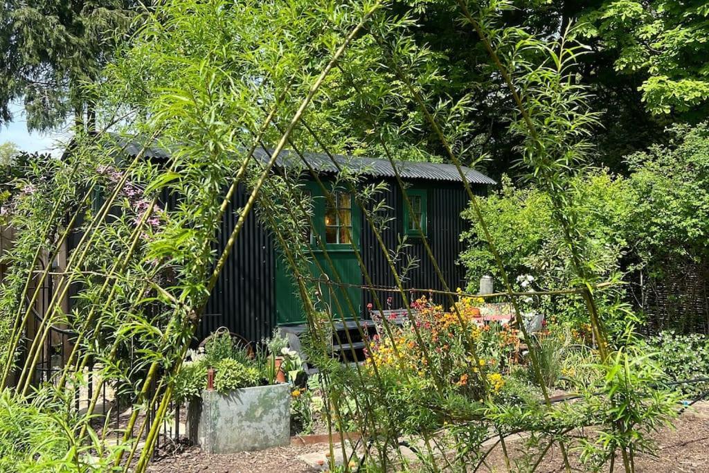 The Rumple Hut *